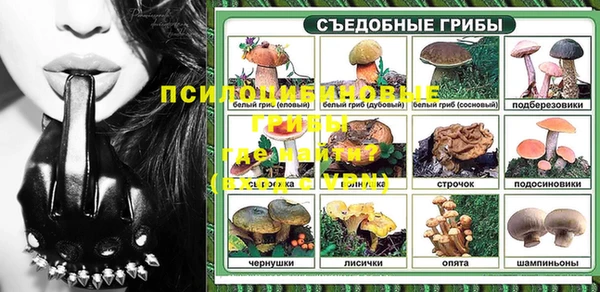 кокс Аркадак