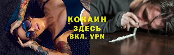 твердый Арсеньев
