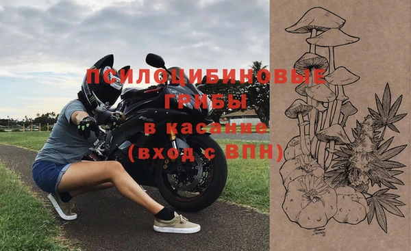 кокс Аркадак