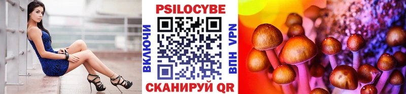 Псилоцибиновые грибы Psilocybe Оха