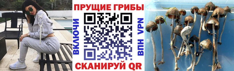 наркота Оха Псилоцибиновые грибы мухоморы