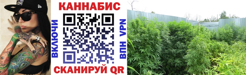 МЕГА как войти  Оха  Бошки Шишки VHQ  купить закладку 